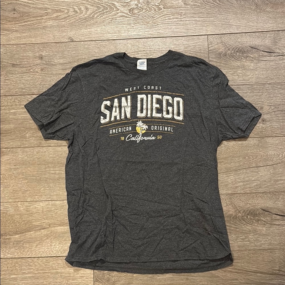 Gray San Diego Graphic T-Shirt